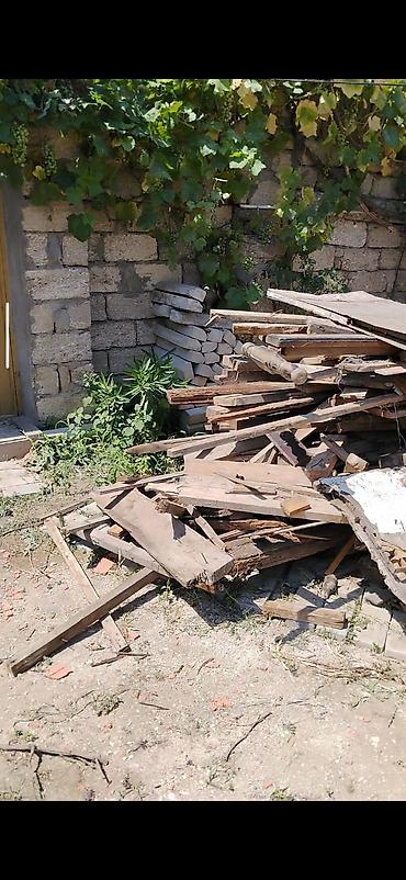 salban: Məhsul: Taxta və taxta qırıntıları qarışığı Təsvir: - Həyətdə — 1