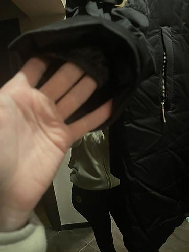 Kurtkalar: 2XL — 3