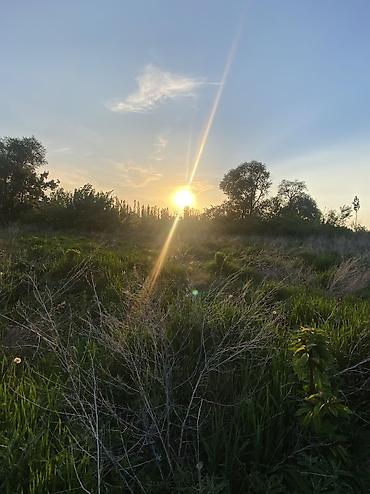 Продажа участков: 15 соток — 13