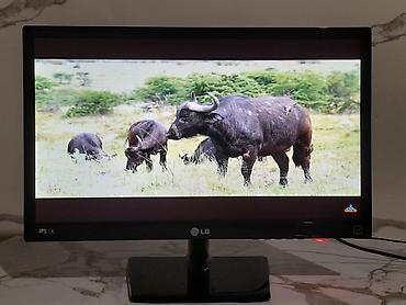 Мониторы: Монитор, LG, Б/у, LCD, 21" - 22" — 13