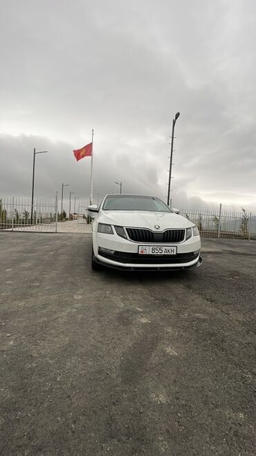 машына приора: Skoda Octavia: 2019 г., 1.6 л, Автомат, Бензин, Седан