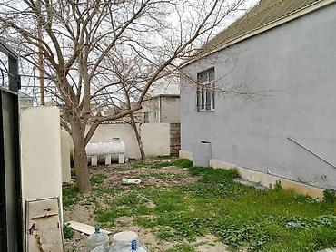 bine salxoz: 3 otaqlı, 100 kv. m, Kredit yoxdur, Yeni təmirli — 3