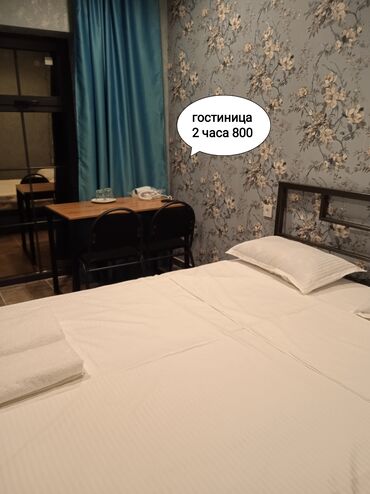 гостиницы бишкеке: 1 комната, Душевая кабина, Кондиционер, Бронь