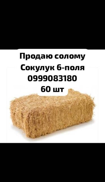 ячмень цена: Продаю солому 60 шт саман
В поле 
Саман тук сатам