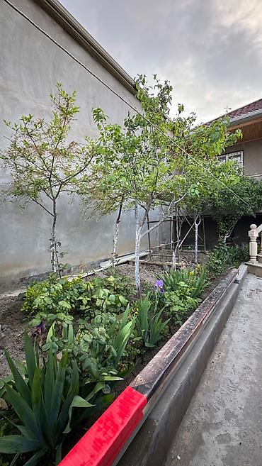 balaxani ev: 3 otaqlı, 110 kv. m, Kredit yoxdur, Yeni təmirli — 10
