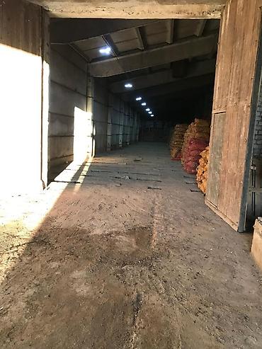 the level: Сдается в аренду картофелехранилище на 200 тонн. Месторасположение - — 1