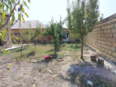 Həyət evləri və villaların satışı: Bağlı həyəti və meyvə ağacları olan fərdi yaşayış evi. - Həyətyanı — 3