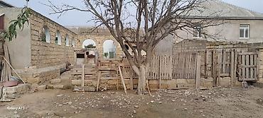 500: 5 sot, Tikinti, Mülkiyyətçi, Kupça (Çıxarış) — 2