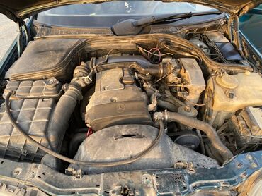 Mercedes-Benz: Mercedes-Benz 220: 2.2 l | 1995 il — 12