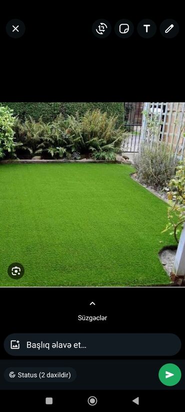 Landşaft işləri: Qazon catrlma qurasdrma agaclarin budanmasi dermanlanmasi ummu — 20