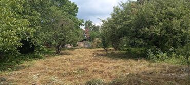 Torpaq sahələrinin satışı: Kənd təsərrüfatı — 10