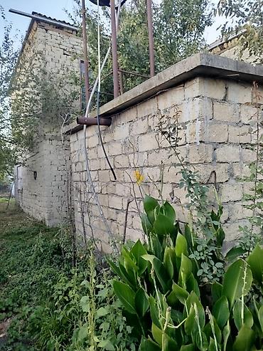 lacin kirayə ev: Satılır: kənd həyəti olan kərpic ev və fındıq bağı - İki mərtəbəli — 2