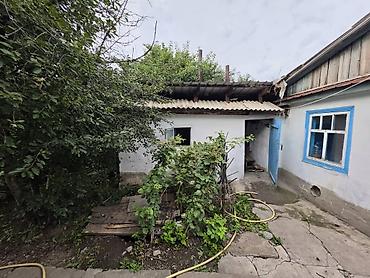 сосед: Продается дом! Отличный бюджетный вариант с мебелью ​Основные — 3