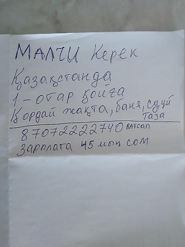 jedani cook: Вакансия: требуется пастух (малшы). Описание: - Работа в Казахстане — 1