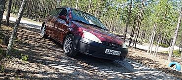 авто фышка: Ford Focus: 2005 г., Механика, Бензин, Хэтчбэк — 3