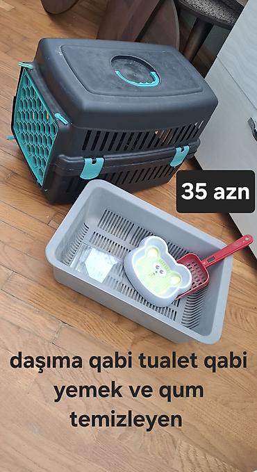 pişik daşıma: Ev heyvanları üçün aksesuarlar 1) Daşıma qabı + tualet qabı + yemək — 2
