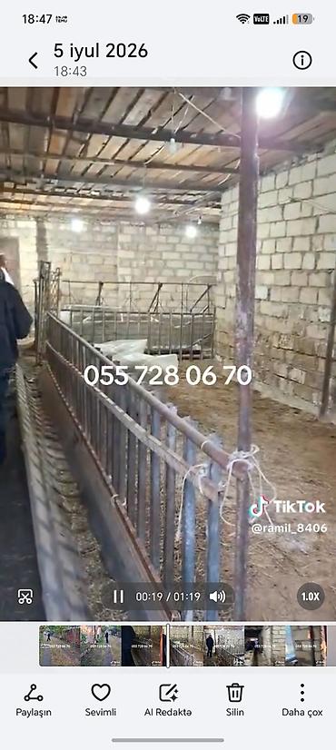 balaxani ev: Ferma və həyət evi 16sot torpaq 2otaqlı ev — 1