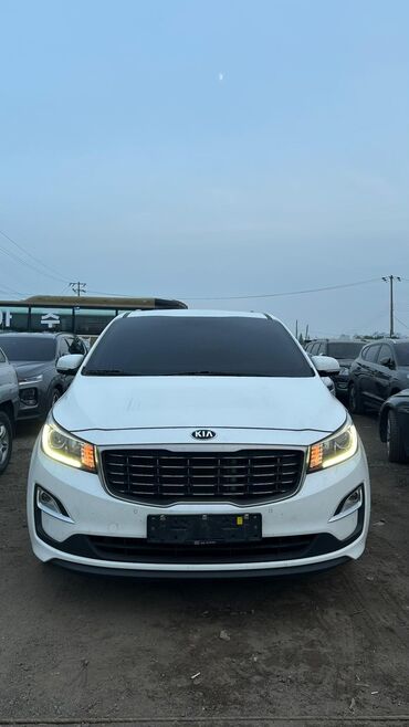 Kia: Kia Carnival: 2020 г. — 14