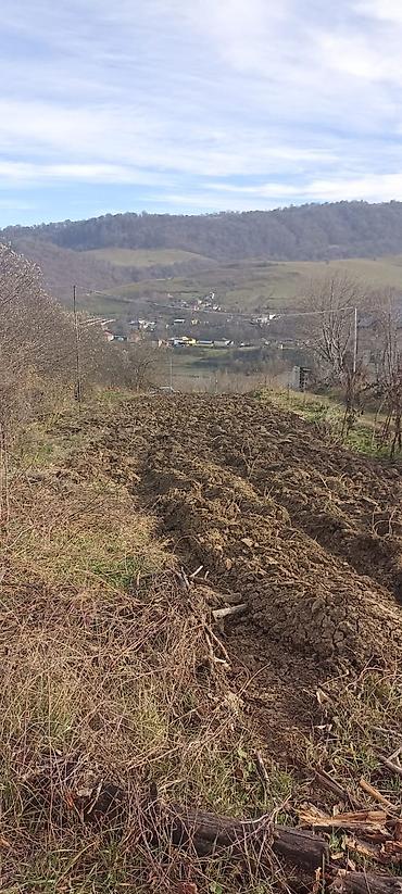 Torpaq sahələrinin satışı: Kənd təsərrüfatı — 1