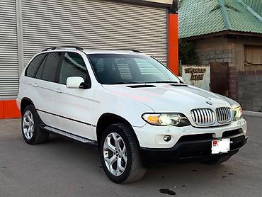 BMW: BMW X5: 2004 г., 3 л, Автомат, Бензин — 3