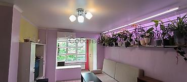 Продажа квартир: 2 комнаты, 45 м², Хрущевка, 4 этаж, Косметический ремонт — 14