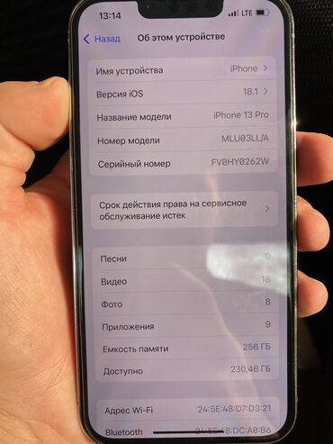 чехол для телефона айфон 5: IPhone 13 Pro, 256 ГБ, Голубой, Зарядное устройство, Чехол, Защитное стекло, 81 %