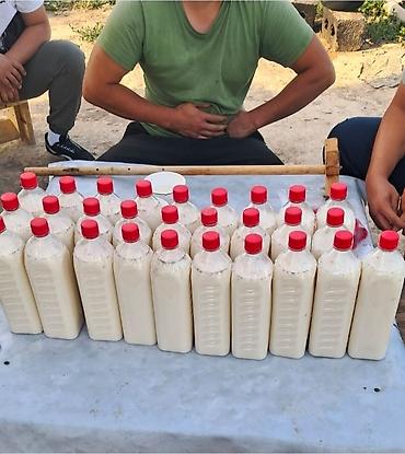Продукты питания: Тазза кымыз.сатылат 250сом — 1