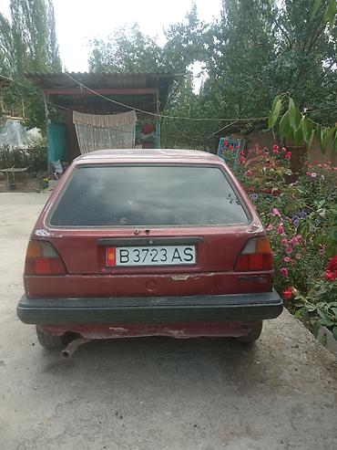 термо бутки: Volkswagen Golf: 1996 г., 1.6 л, Механика, Бензин, Хэтчбэк — 1