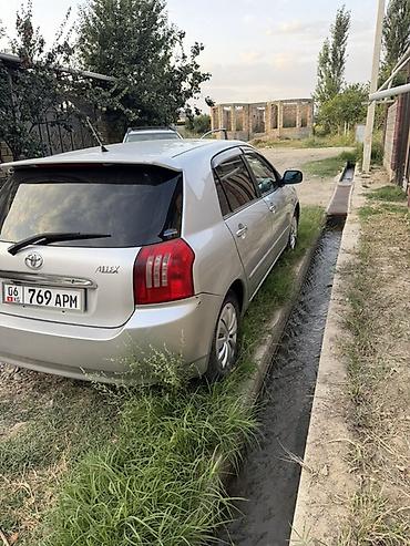полик 5 д: Toyota Allex: 2003 г., 1.5 л, Автомат, Бензин, Хэтчбэк — 5