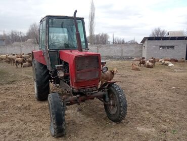 экскаватор сатып алам: Продаю трактор ЮМЗ прошу 280000сом#