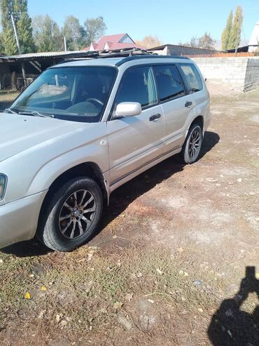 Subaru: Subaru Forester: 2024 г., 2 л, Механика, Бензин, Кроссовер — 7