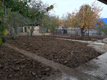 дом кок жаре: Дача, 50 м², 3 комнаты, Собственник, Старый ремонт