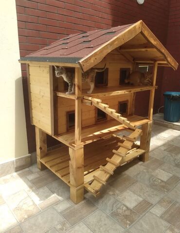 Yuvalar: Məhsul: Açıq havada istifadə üçün taxta pişik evi Təsvir: - Küçə və — 12