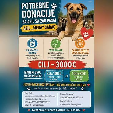 cau cau: Humanitarna akcija – Potrebne donacije za azil „Meda“ Šabac (260 pasa) — 1