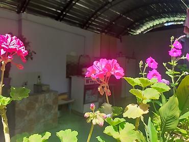 Günlük kirayə evlər: 200 kv. m, 3 otaqlı, Qaz, İşıq, Su — 15