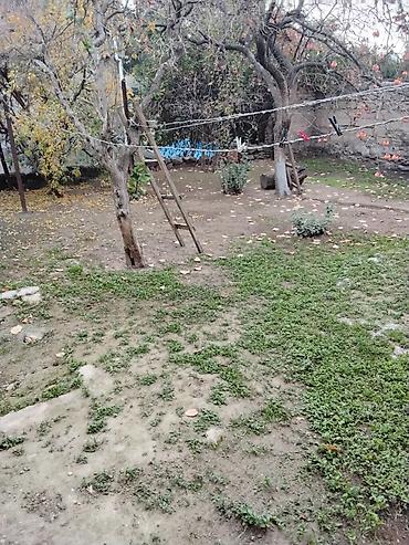 Otaqların satışı: Продаеться дом от Хозяина в поселки Расулзаде(Кирова). Улица 8 Марта — 11