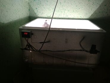 продаю в связи переездом: Инкубатор для яиц из пенополистирола с автоматическим контролем