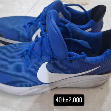 Čizme: Čizme, Massimo Dutti, 40 — 8