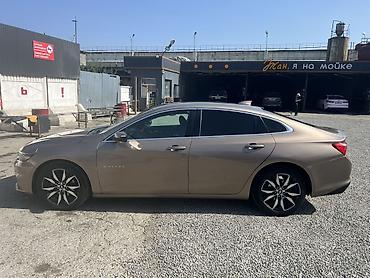mers 203: Chevrolet Malibu: 2018 г., 1.5 л, Автомат, Бензин, Седан — 2