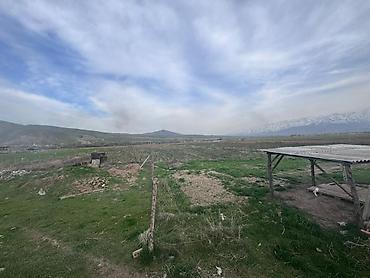 Продажа участков: 80 соток, Для сельского хозяйства — 14