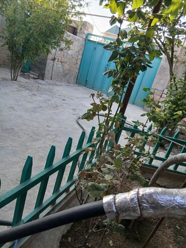 Həyət evləri və villaların satışı: Binə 4 otaqlı, 100 kv. m, Kredit yoxdur, Orta təmir — 11