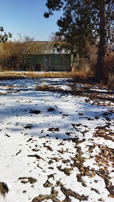 Продажа участков: 9 соток, Для бизнеса, Красная книга at lalafo.kg — 30 Продажа участков: 9 соток, Для бизнеса, Красная книга — 30