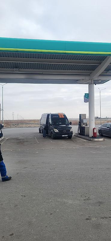 шторы на спринтер: Mercedes-Benz Спринтер: 2008 г., 2.2 л, Механика, Дизель, Фургон — 6