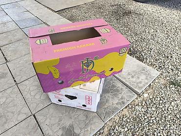 Ящики: Ящик — 3