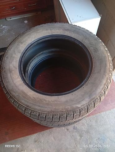 продажа брейн ротов: Зимние шины Bridgestone Blizzak WS60, комплект 2 шт. - Тип: зимние — 2