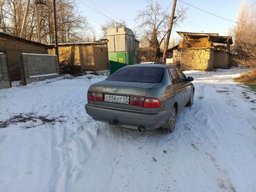 Toyota: Toyota Carina E: 1995 г., 1.6 л, Механика, Бензин, Седан