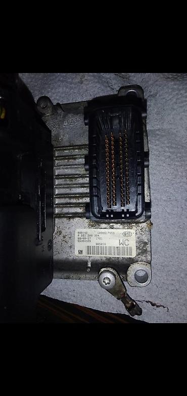 opel merva: Məhsul: GM mühərrik idarəetmə bloku (ECU) Model/etiket məlumatları — 1