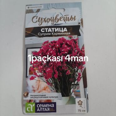 Buket güllər: Məhsul: Toxum paketləri 1) Statitsa “Suprim Karminnaya” (Suxotsvety