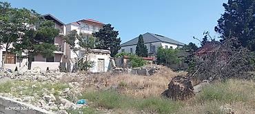 gence pasyolka: 9 sot, Makler, Kupça (Çıxarış) — 2