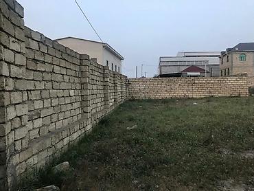 Torpaq: 10 sot, Tikinti, Mülkiyyətçi — 3